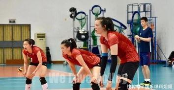 集训爆料女排视频大全最新,最新视频大全精彩瞬间回顾  第1张